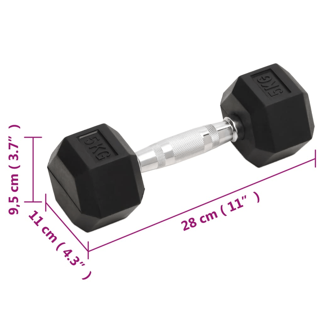 Dumbbell vidaXL 2 pcs 10 kg Cast Iron Dumbbells