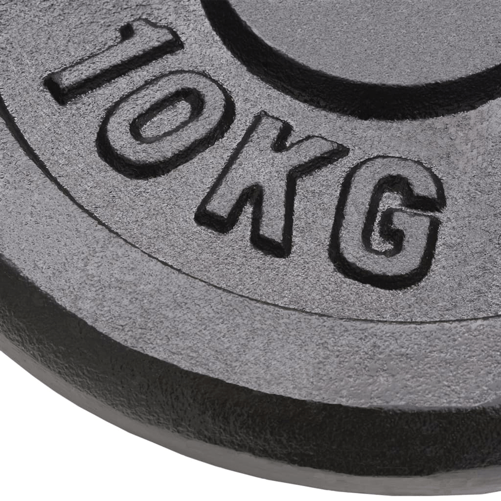 free weights vidaXL 2x10 kg Cast Iron Weight Plates
