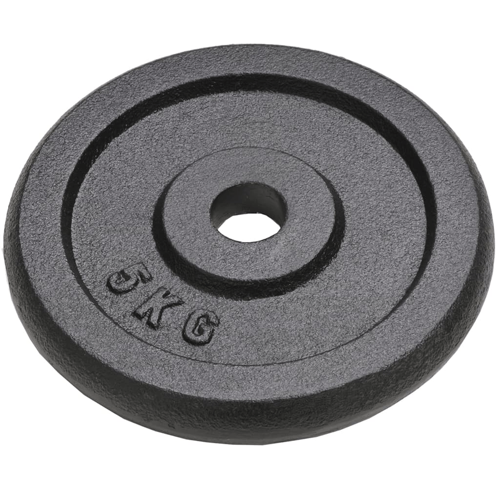 free weights vidaXL 4pcs 4x5 kg Cast Iron Weight Plates for Strength Training
