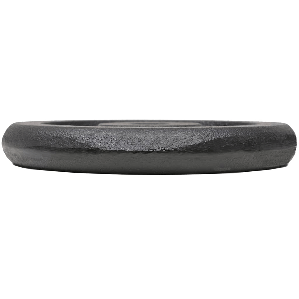 free weights vidaXL 4pcs 4x5 kg Cast Iron Weight Plates for Strength Training