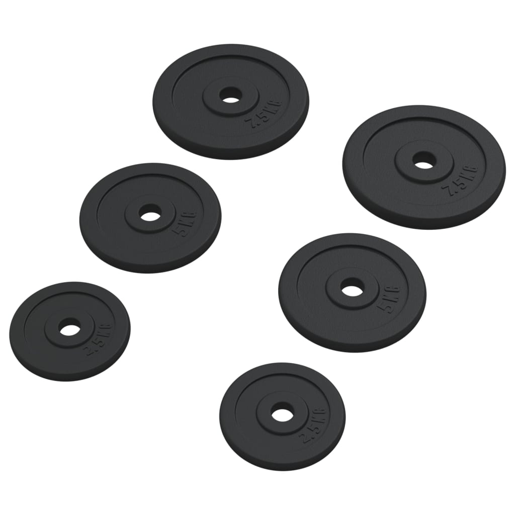 Free weights vidaXL 6 pcs 30 kg Cast Iron Weight Plate