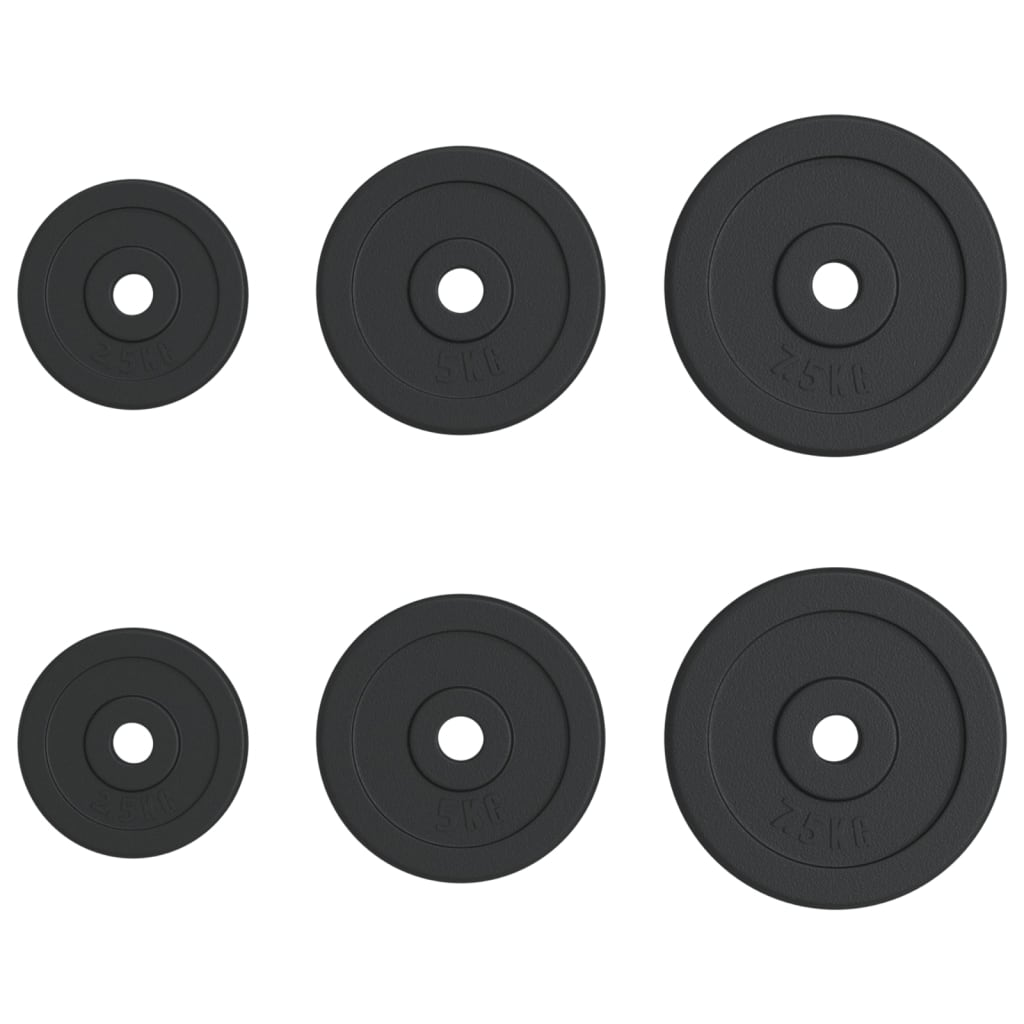 Free weights vidaXL 6 pcs 30 kg Cast Iron Weight Plate