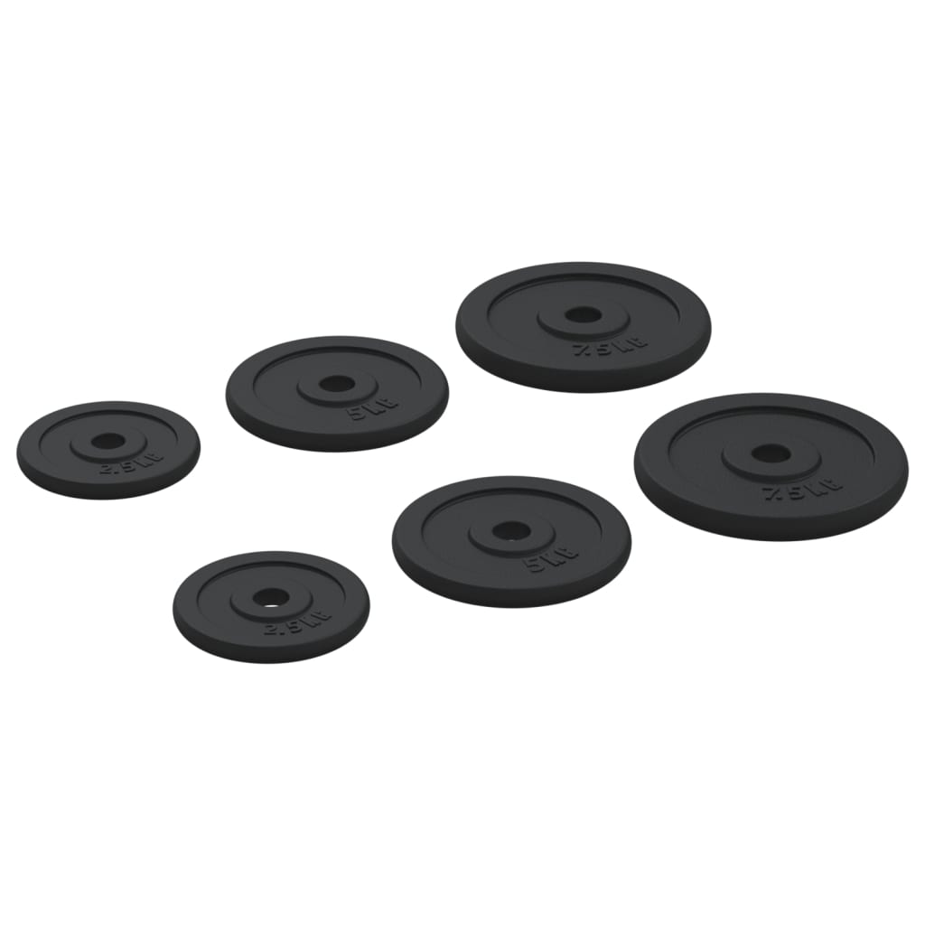 Free weights vidaXL 6 pcs 30 kg Cast Iron Weight Plate