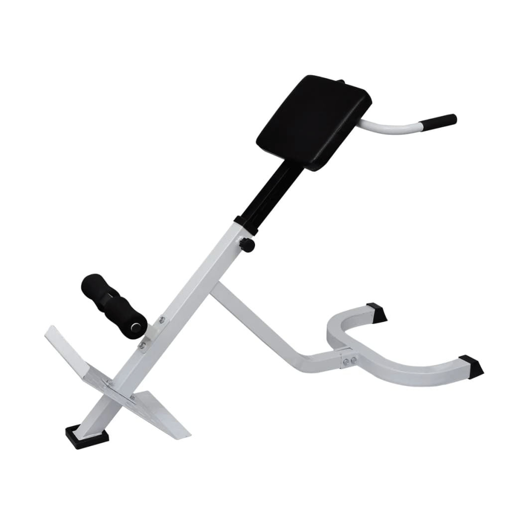 Workout Bench vidaXL Back Extension Bench