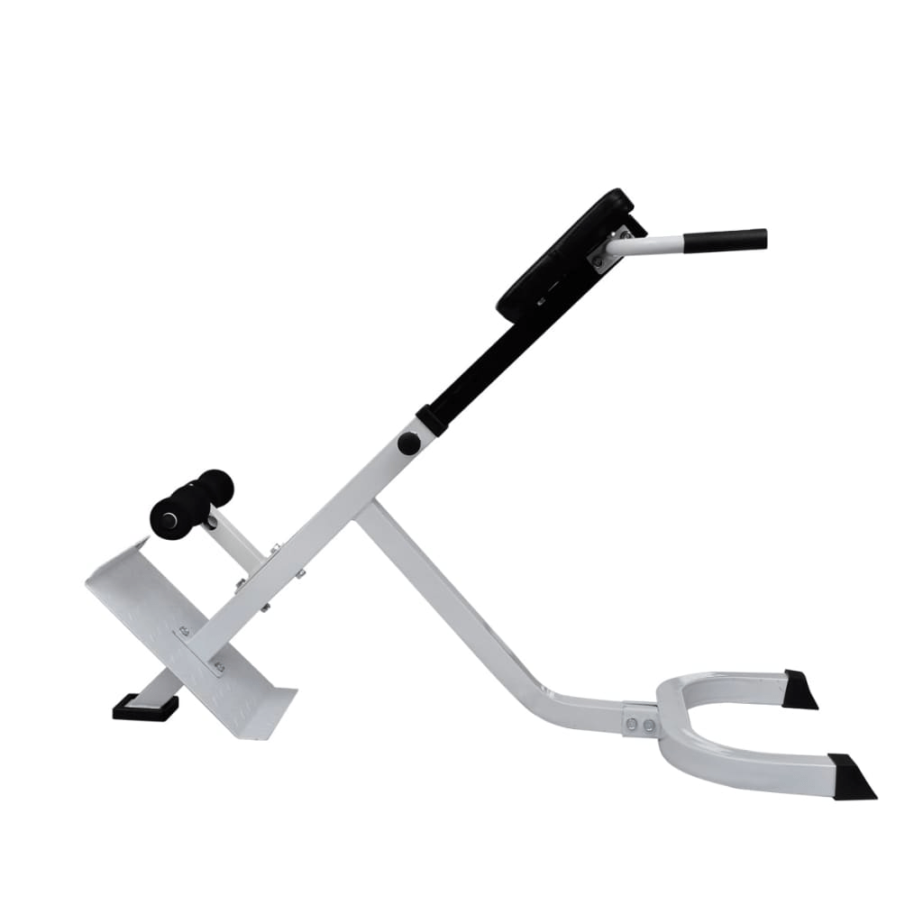Workout Bench vidaXL Back Extension Bench