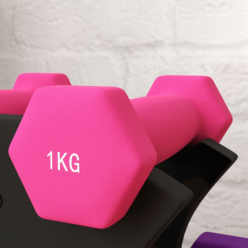 SPORTNOW Hex Dumbbells Set with Rack, 1kg, 2kg, 3kg - Fitness Max