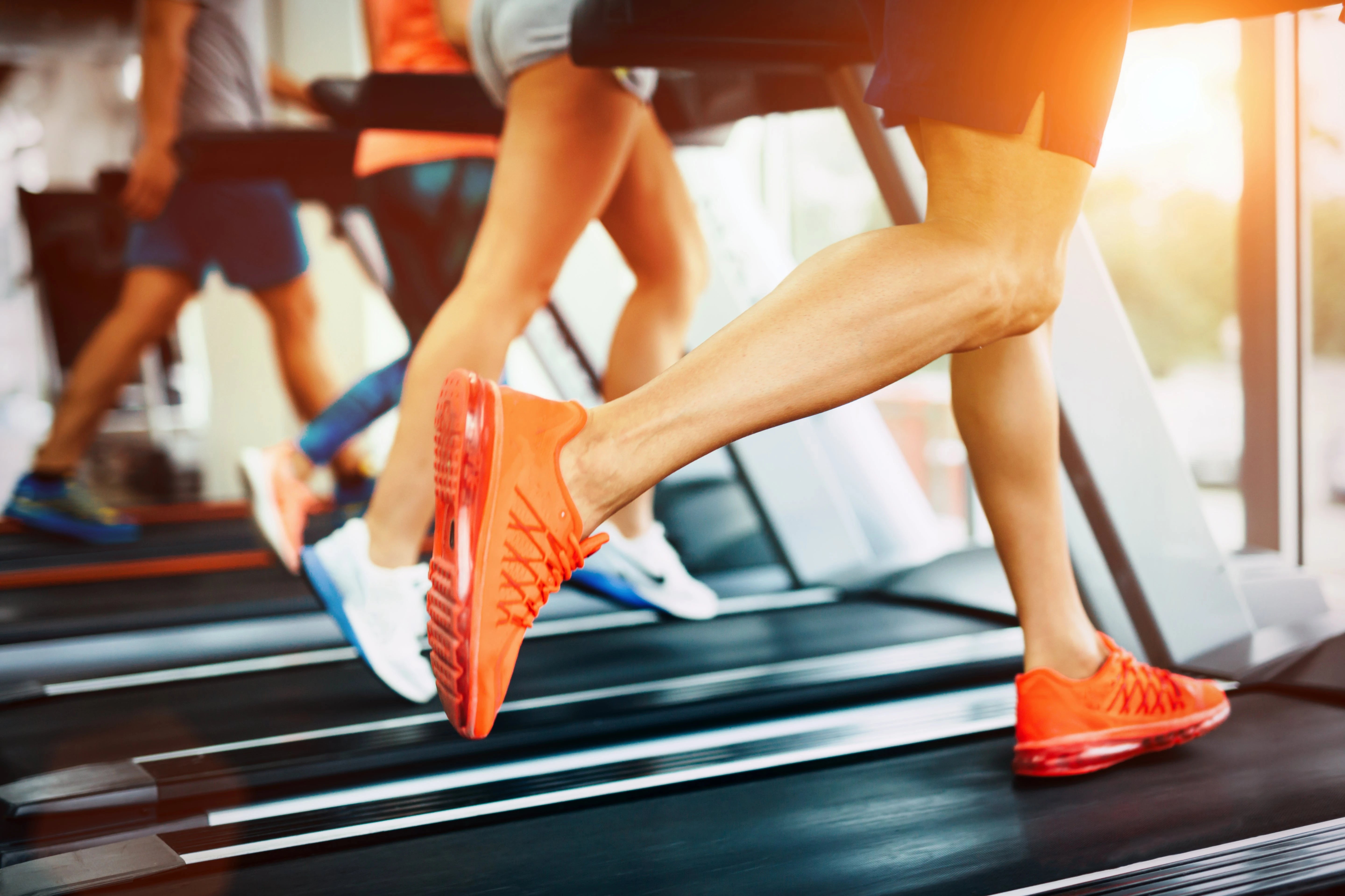 Treadmill - Fitness Max