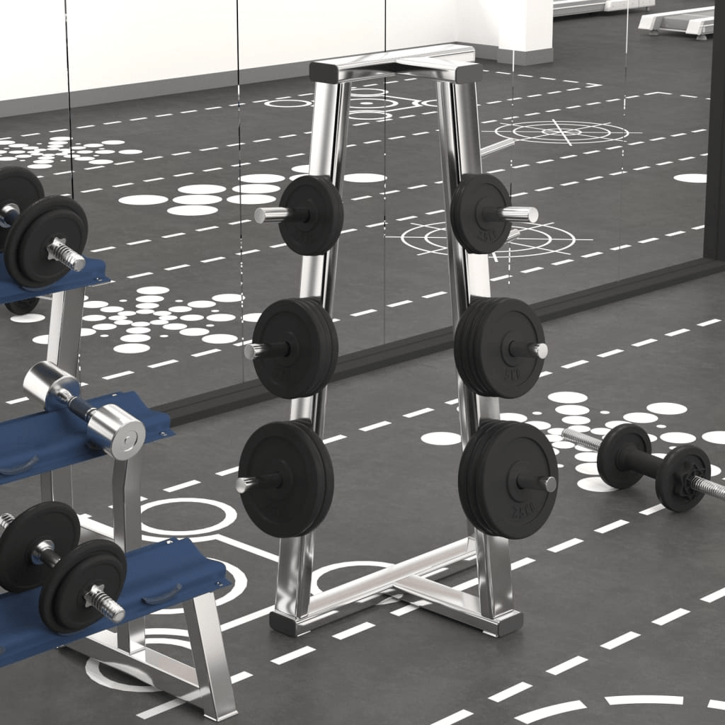 Free weights vidaXL Weight Plates 6 pcs 30 kg Cast Iron - Durable Strength Training Equipment