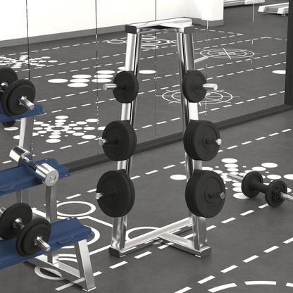 Free weights vidaXL Weight Plates 6 pcs 30 kg Cast Iron - Durable Strength Training Equipment
