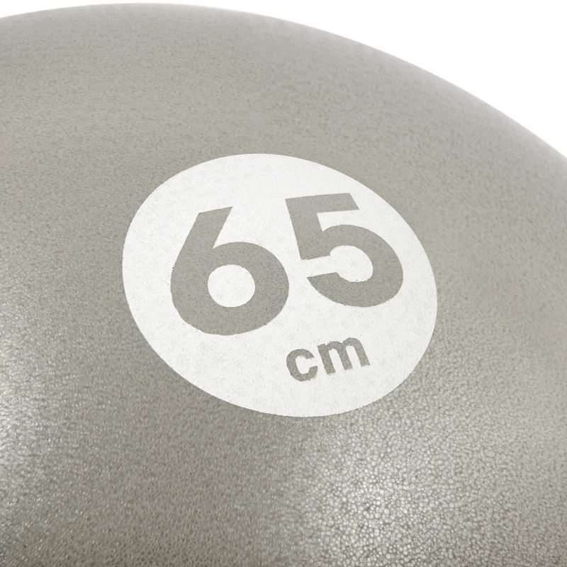 Reebok 65cm Gym Ball with Pump: Non-Slip for Home Workouts - Fitness Max
