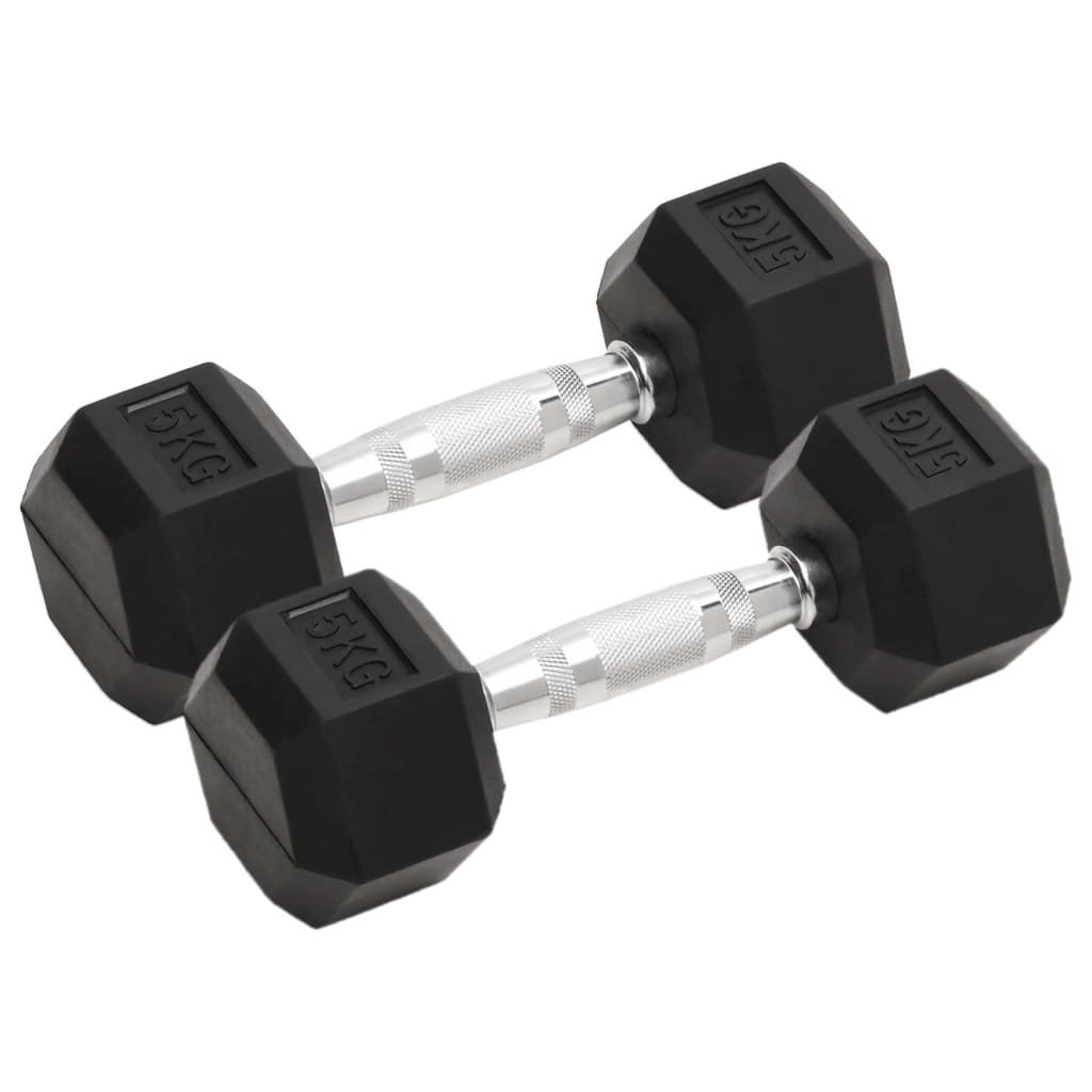Dumbbell vidaXL 2 pcs 10 kg Cast Iron Dumbbells