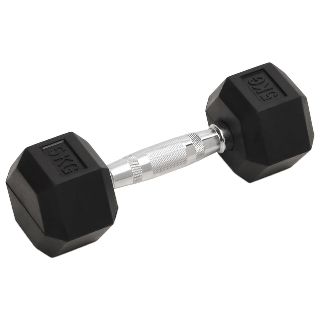 Dumbbell vidaXL 2 pcs 10 kg Cast Iron Dumbbells
