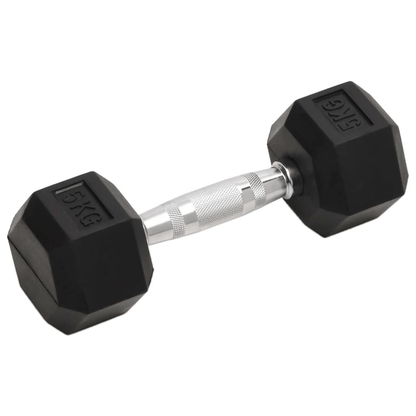 Dumbbell vidaXL 2 pcs 10 kg Cast Iron Dumbbells