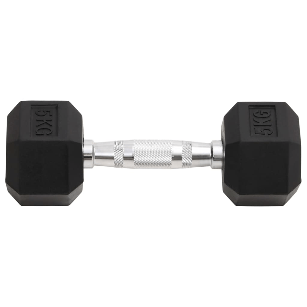 Dumbbell vidaXL 2 pcs 10 kg Cast Iron Dumbbells