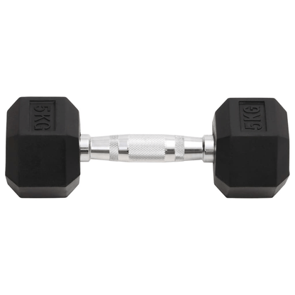 Dumbbell vidaXL 2 pcs 10 kg Cast Iron Dumbbells
