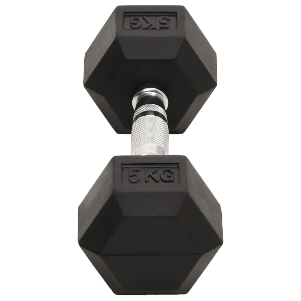 Dumbbell vidaXL 2 pcs 10 kg Cast Iron Dumbbells