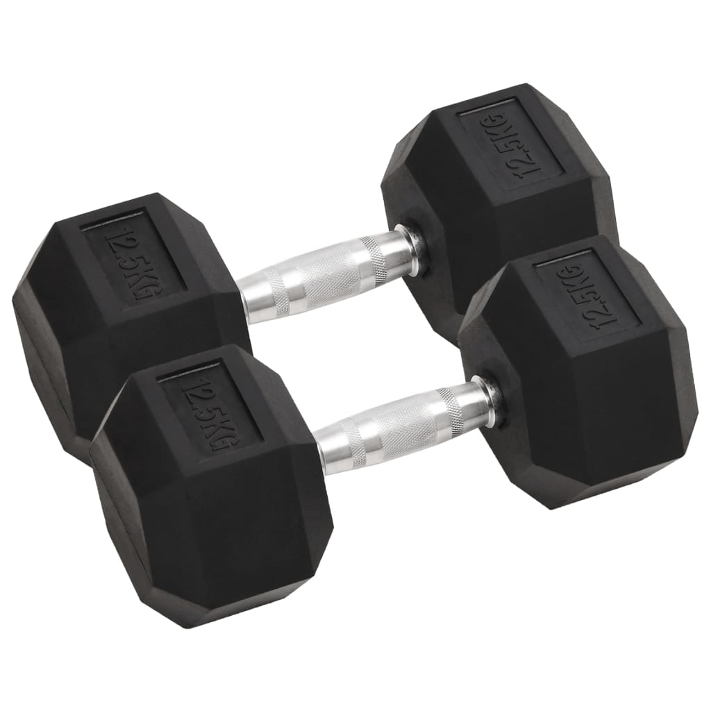 vidaXL 2 pcs 25 kg Cast Iron Dumbbells - Versatile Workout Weights - Fitness Max