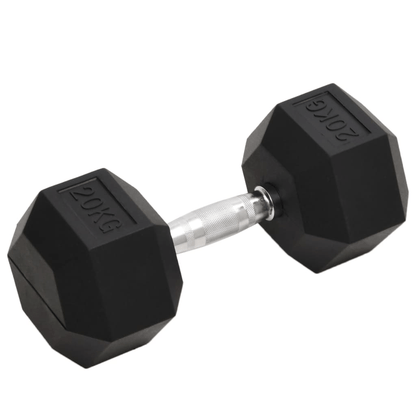 Dumbbell vidaXL 20 kg Cast Iron Dumbbell