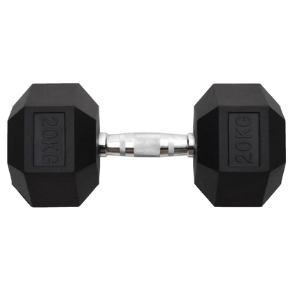 Dumbbell vidaXL 20 kg Cast Iron Dumbbell