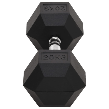 Dumbbell vidaXL 20 kg Cast Iron Dumbbell