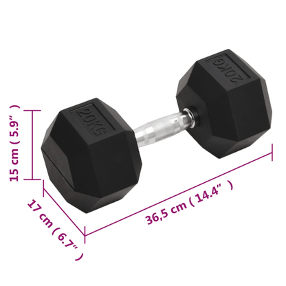Dumbbell vidaXL 20 kg Cast Iron Dumbbell