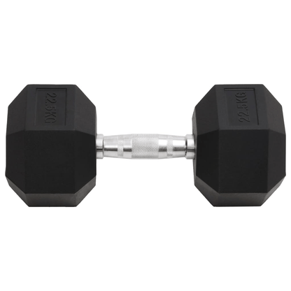 Dumbbell vidaXL 22.5 kg Cast Iron Dumbbell