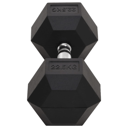 Dumbbell vidaXL 22.5 kg Cast Iron Dumbbell