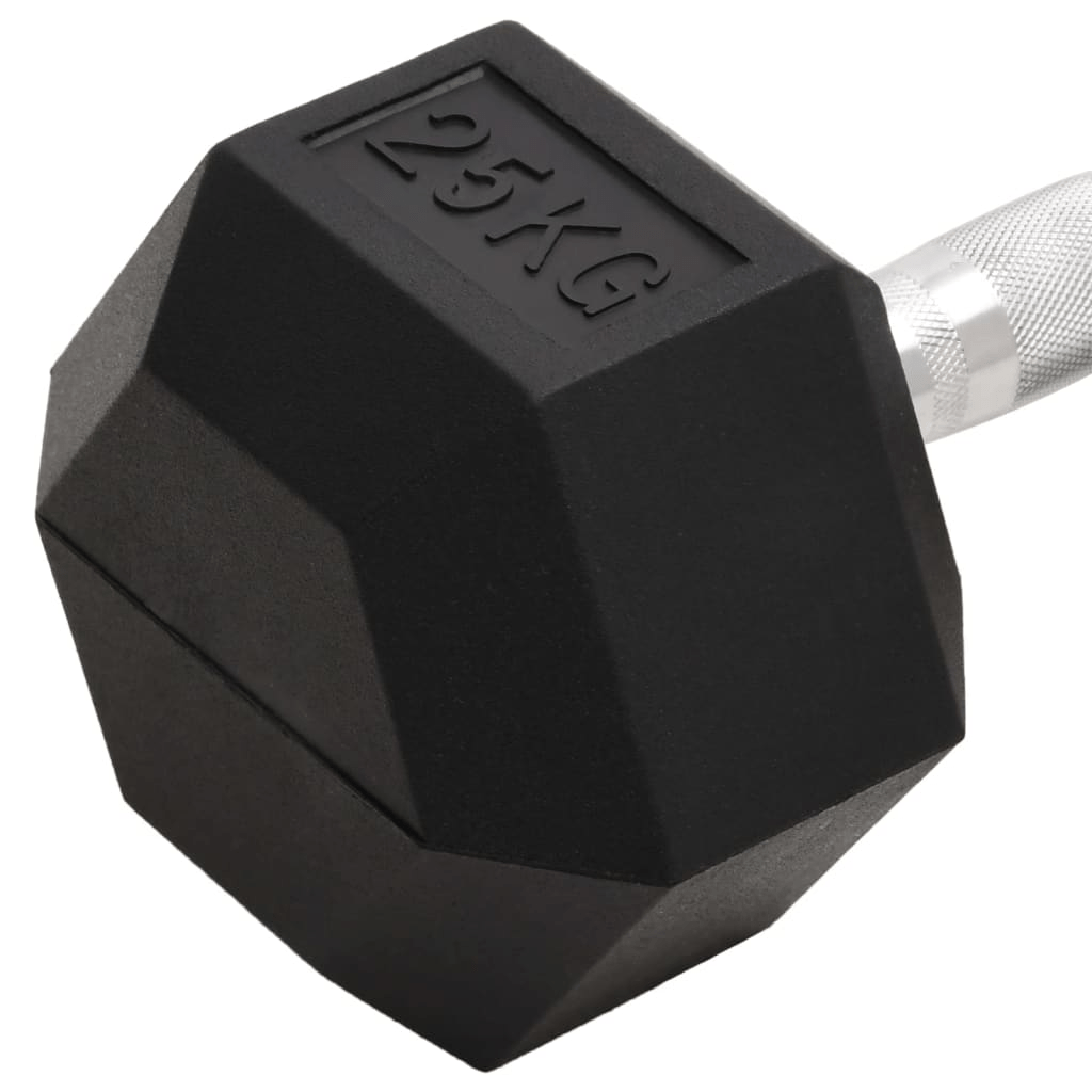 Dumbbell vidaXL 25 kg Cast Iron Dumbbell  Versatile, Durable Anti-Roll