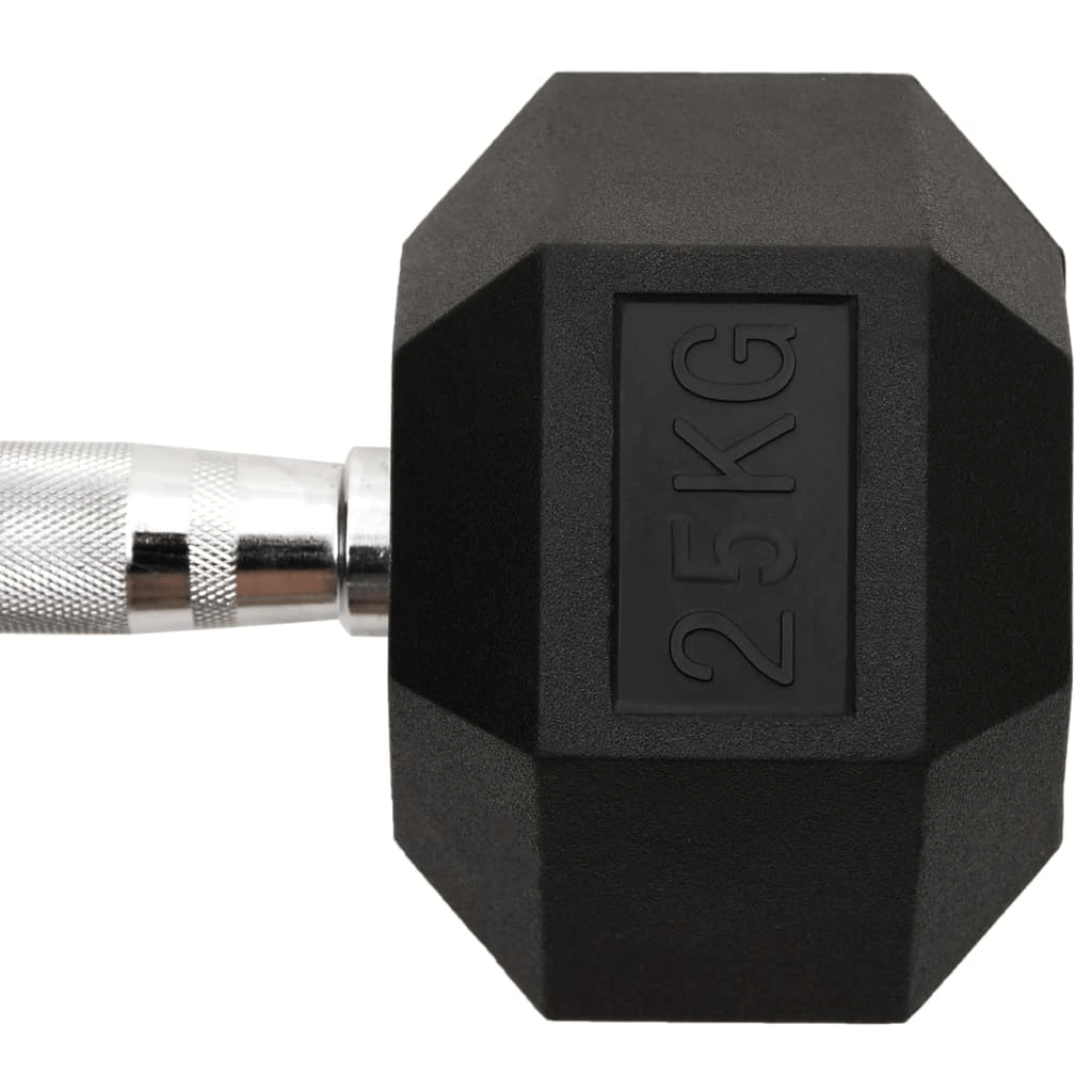 Dumbbell vidaXL 25 kg Cast Iron Dumbbell  Versatile, Durable Anti-Roll