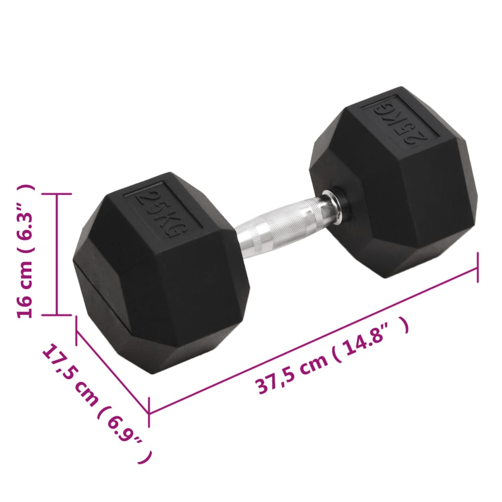 Dumbbell vidaXL 25 kg Cast Iron Dumbbell  Versatile, Durable Anti-Roll
