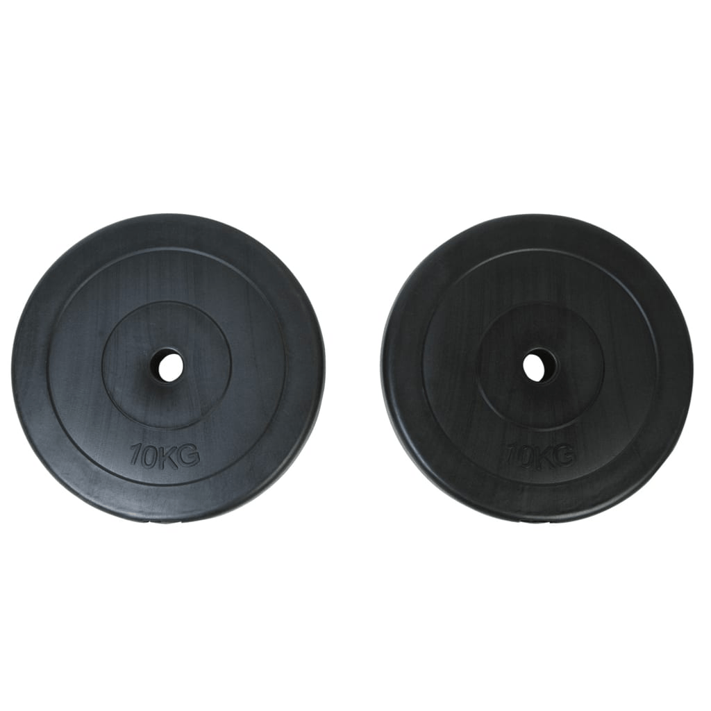 vidaXL 10 kg Weight Plates for Professional Home Weight Training - Fitness Max