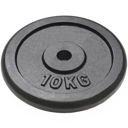 free weights vidaXL 2x10 kg Cast Iron Weight Plates