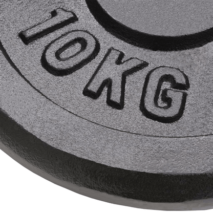 free weights vidaXL 2x10 kg Cast Iron Weight Plates