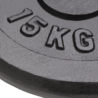 free weights vidaXL 2x15 kg Cast Iron Weight Plates for Strength Training
