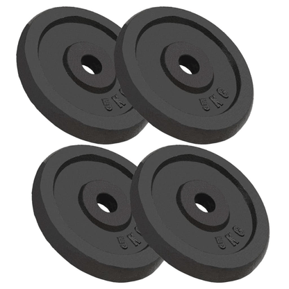 free weights vidaXL 4pcs 4x5 kg Cast Iron Weight Plates for Strength Training