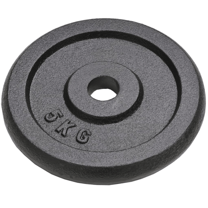 free weights vidaXL 4pcs 4x5 kg Cast Iron Weight Plates for Strength Training