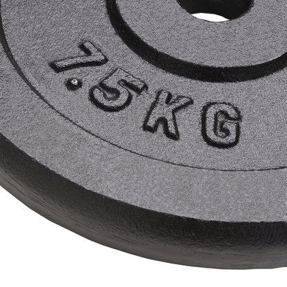 free weights vidaXL 4x7.5 kg Cast Iron Weight Plates