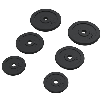 Free weights vidaXL 6 pcs 30 kg Cast Iron Weight Plate