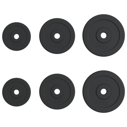 Free weights vidaXL 6 pcs 30 kg Cast Iron Weight Plate