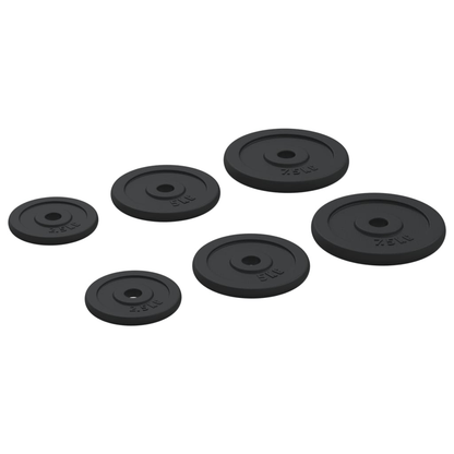 Free weights vidaXL 6 pcs 30 kg Cast Iron Weight Plate