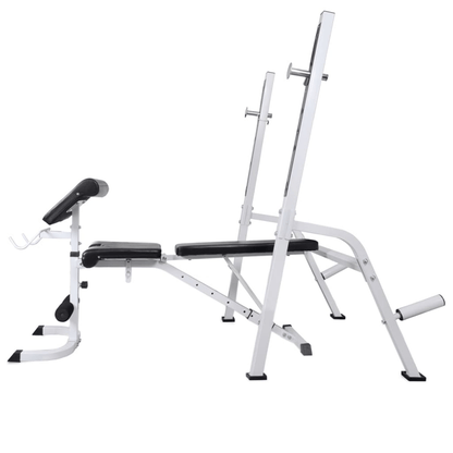 Workout Bench vidaXL Adjustable Workout Bench with Weight Rack, 60.5kg