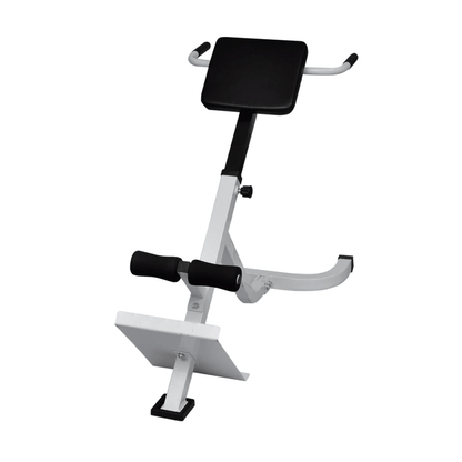 Workout Bench vidaXL Back Extension Bench