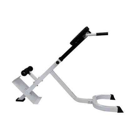 Workout Bench vidaXL Back Extension Bench