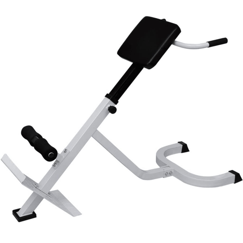 Workout Bench vidaXL Back Extension Bench