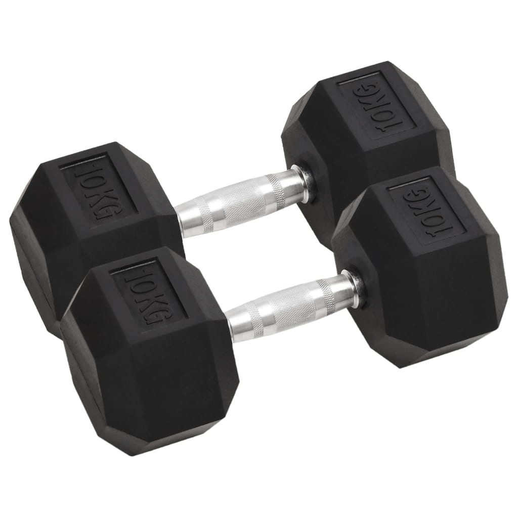 vidaXL 2 pcs 20 kg Cast Iron Dumbbells for Home Workouts - Fitness Max