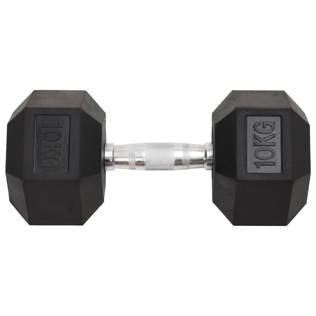 vidaXL 2 pcs 20 kg Cast Iron Dumbbells for Home Workouts - Fitness Max