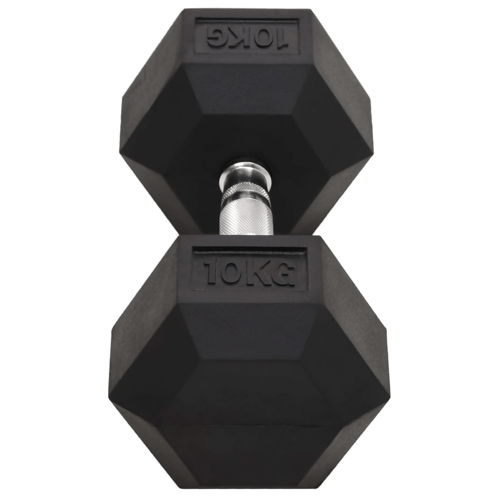 vidaXL 2 pcs 20 kg Cast Iron Dumbbells for Home Workouts - Fitness Max