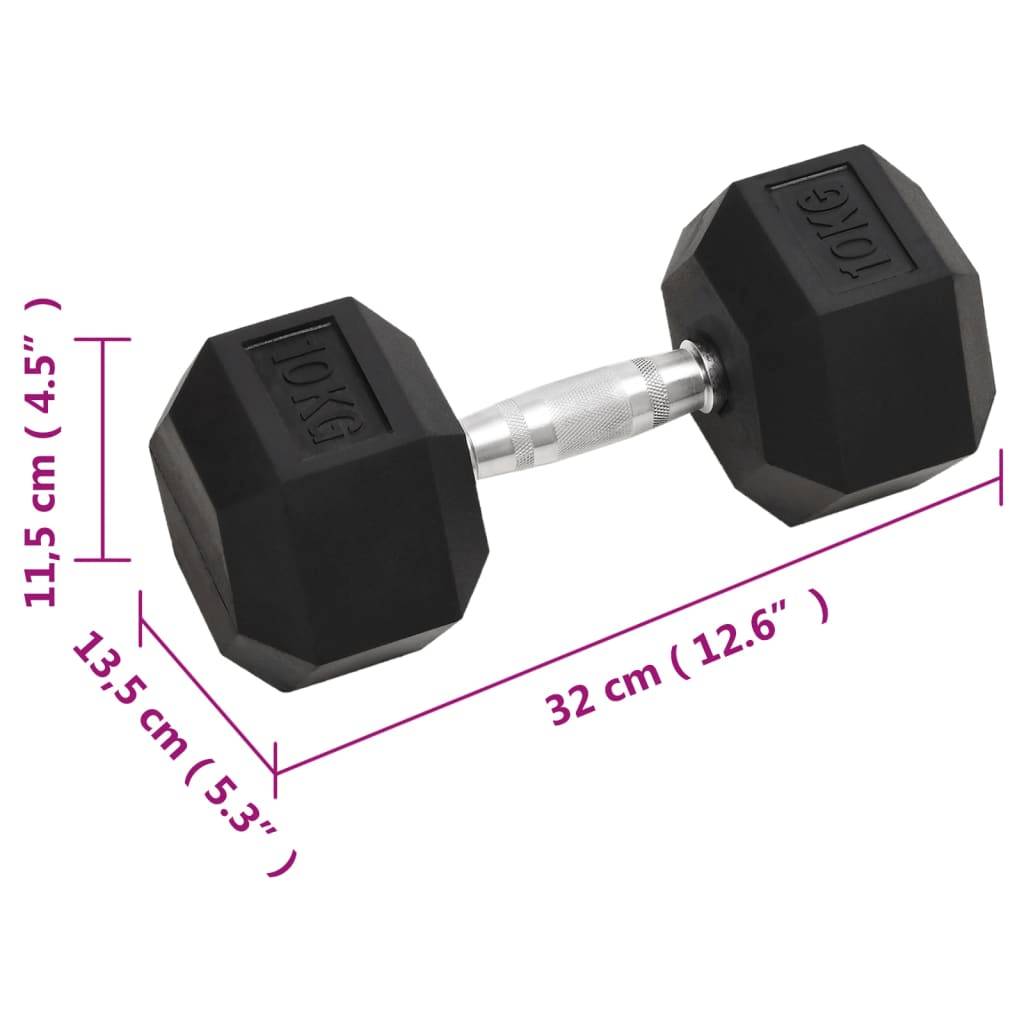 vidaXL 2 pcs 20 kg Cast Iron Dumbbells for Home Workouts - Fitness Max