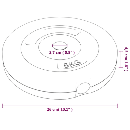 free weights vidaXL 30 kg Cement Weight Plates Set 4