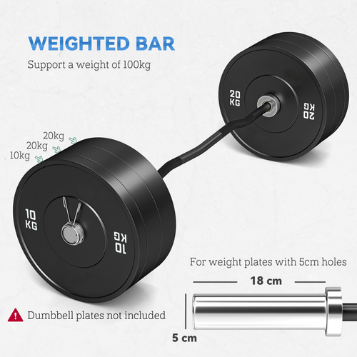 120cm EZ Curl Bar with Spring Clips, Barbell for 5cm Plates, 8kg - Fitness Max
